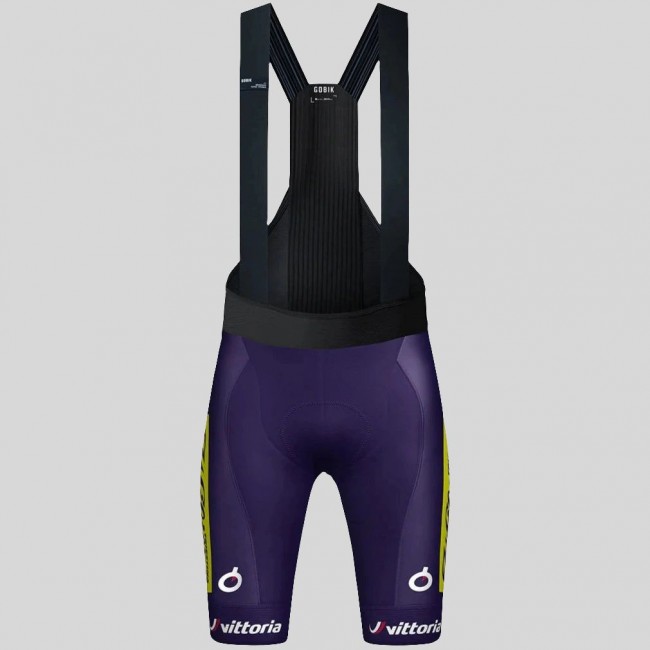 Bekleidung Herren Gobik Wilier Vittoria 2025 Absolute Print K10 tragerhose
